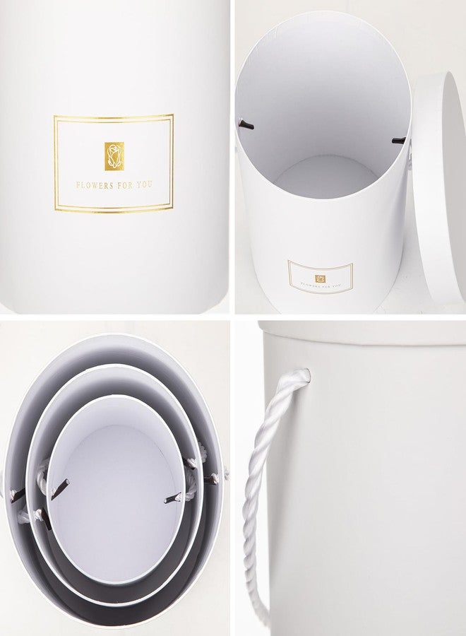 Hollyone White Gift Box with Lids Set of 3 Round Nesting Gift Boxes Cylinder for Presents 3 Assorted Sizes Flowers Arrangements Box for Gift Giving Christmas Valentine Mom Gifts Present Wrapping - Image 3